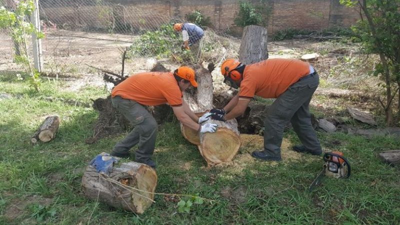 Continúa el trabajo de Defensa Civil tras el fuerte temporal