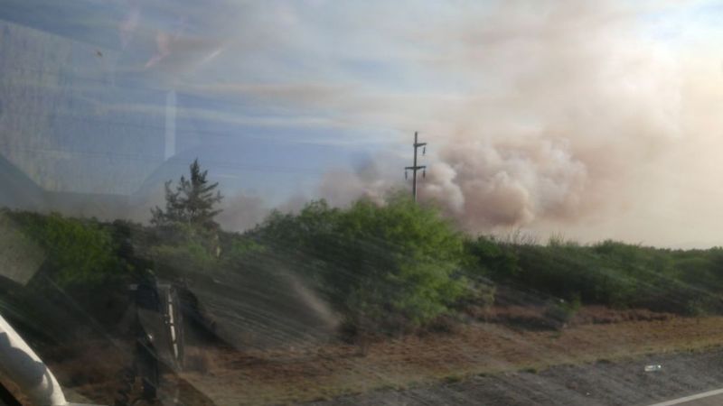 Incendio de magnitud en un emprendimiento olivícola