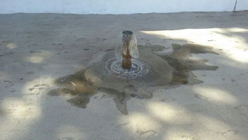 7 de Octubre: Día del Adulto Mayor