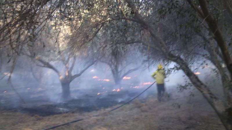 7 de Octubre: Día del Adulto Mayor