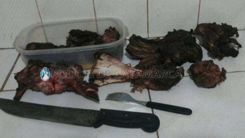 Los descubren faenando un animal