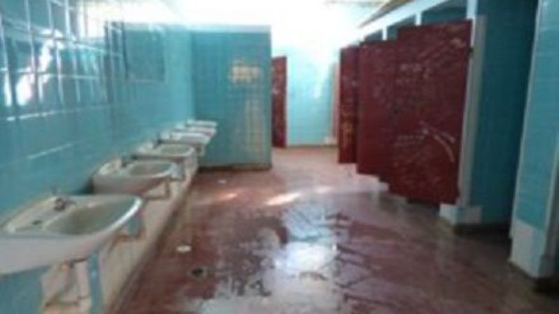 Trabajos en la Escuela N°703