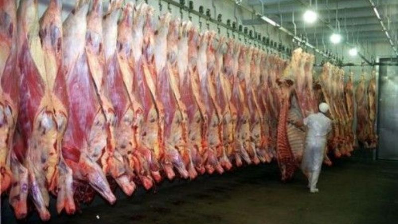 Frigoríficos piden ayuda financiera