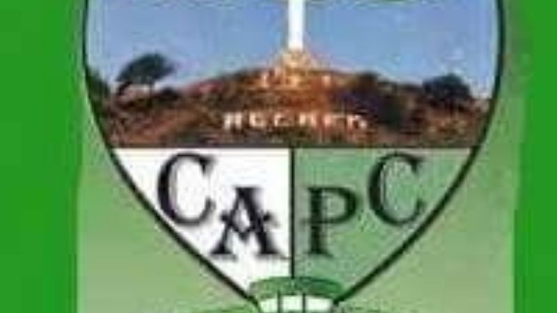 Aniversario de "Bichos Verdes"