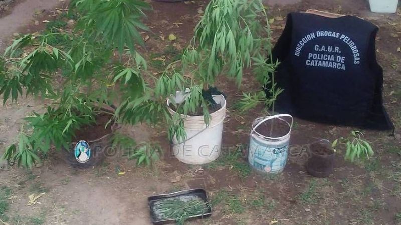Secuestran droga en Londres y en Belén