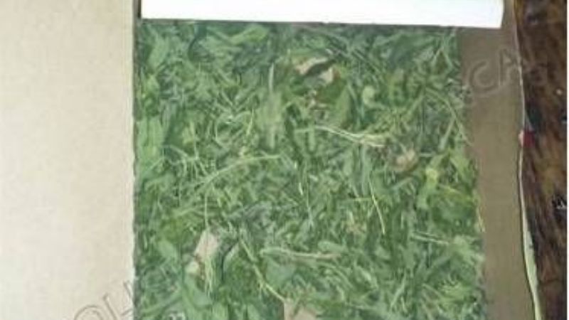 Secuestran droga en Londres y en Belén