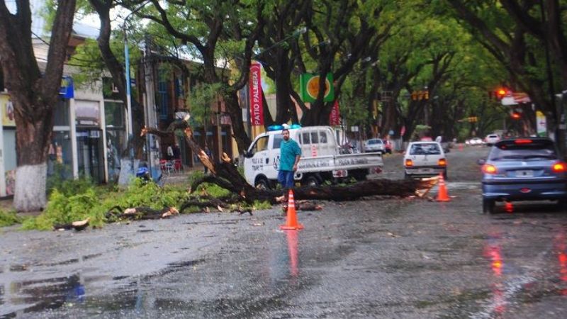 Inusitado y fuerte temporal de lluvia y viento en Valle Viejo