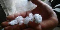 Granizo de mediano tamaño en Colpes (departamento Ambato). Foto: Facundo Spielberg.
