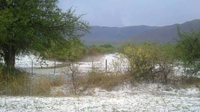 Imagenes de la granizada en distintas partes de la provincia
