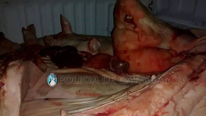 Secuestran carne porcina en Valle Viejo