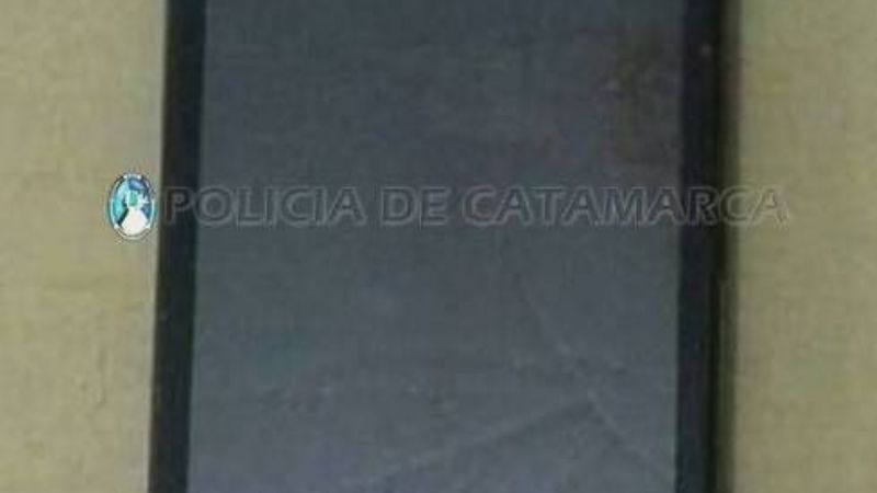 Arrebató un celular y fue demorado