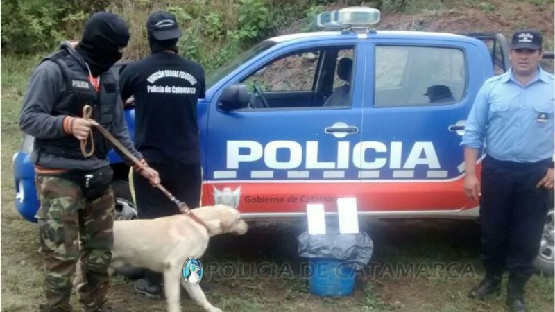 Encuentran entre malezas, 2 kilos de marihuana en Paclín