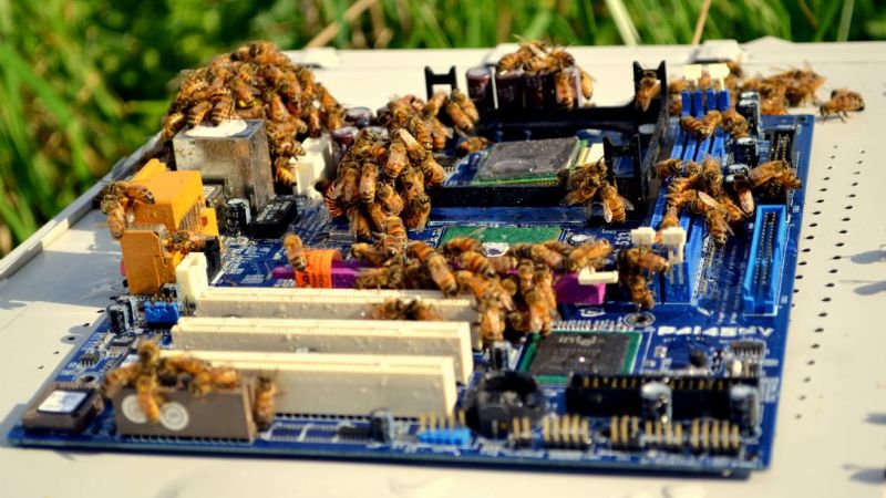 Una Matrix que simula colonias de abejas