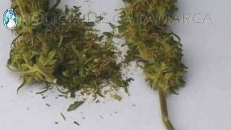 Iba en caballo a Tafí del Valle y le encuentran droga