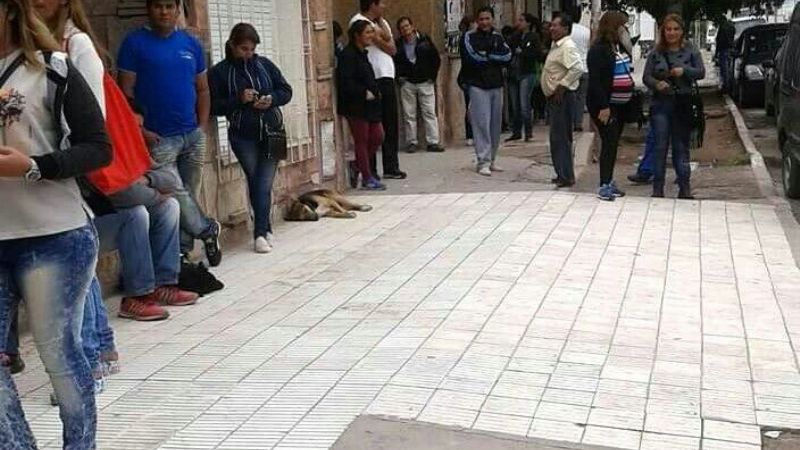 Recreo: Eterna odisea en el Banco Nación para cobrar