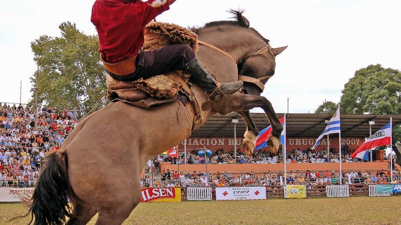 Fin de semana largo con doma y folclore en Santa María