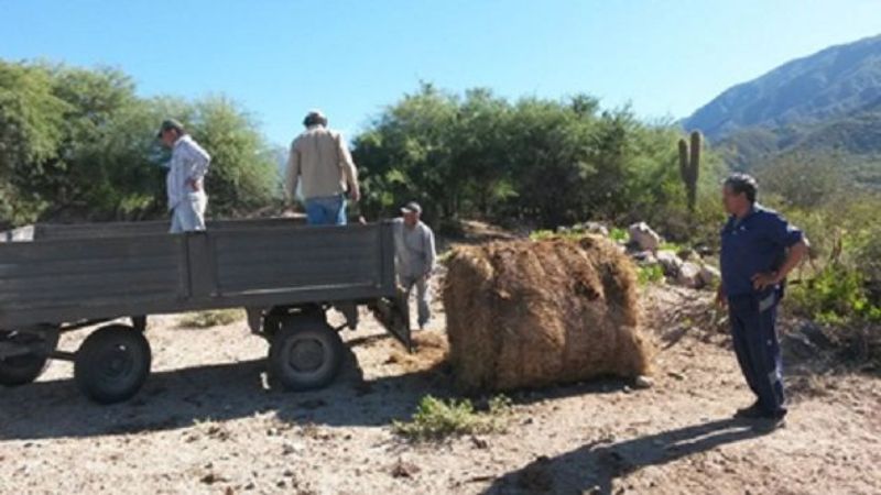 Apoyo a productores de Andalgalá