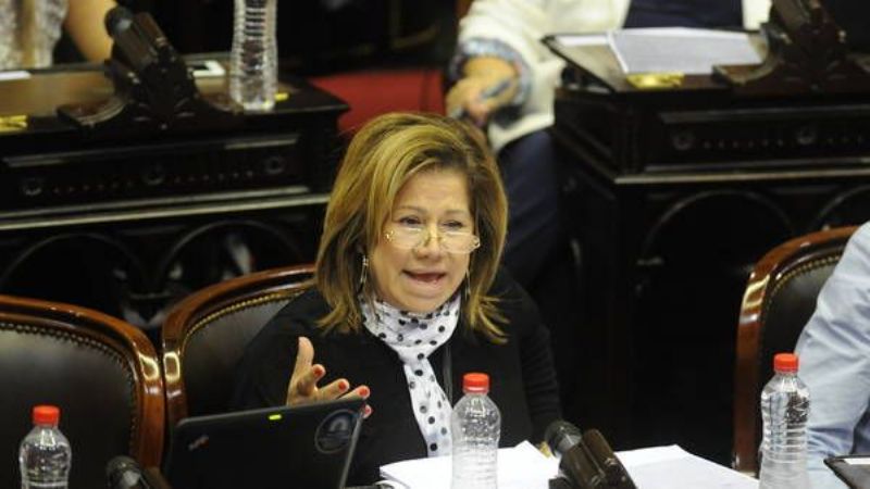 Para la diputada massista Graciela Camaño, "Carrió está enferma"