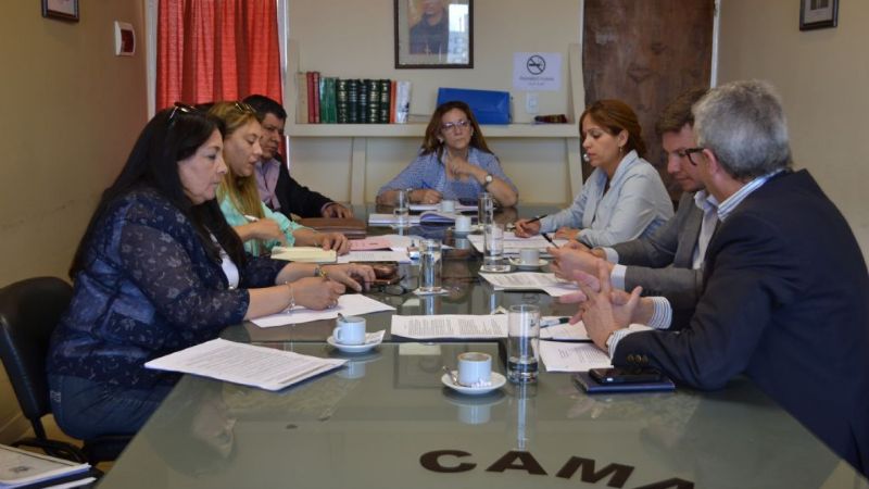 Diputados se reunieron con el subsecretario de Salud Mental