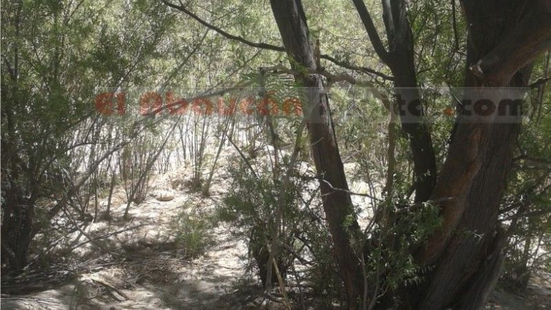 Intentó suicidarse y su esposa lo salvó