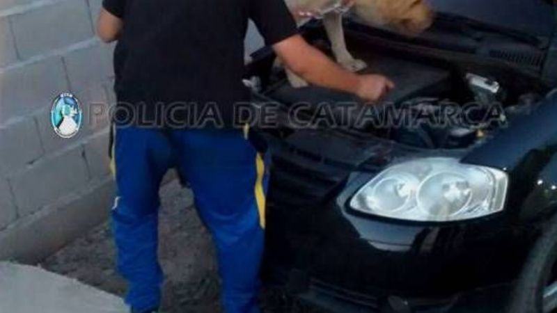 Desbaratan un punto de venta de drogas y detienen a un hombre
