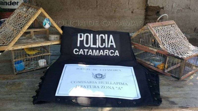 Atraparon a dos sujetos que mataban aves con trampas