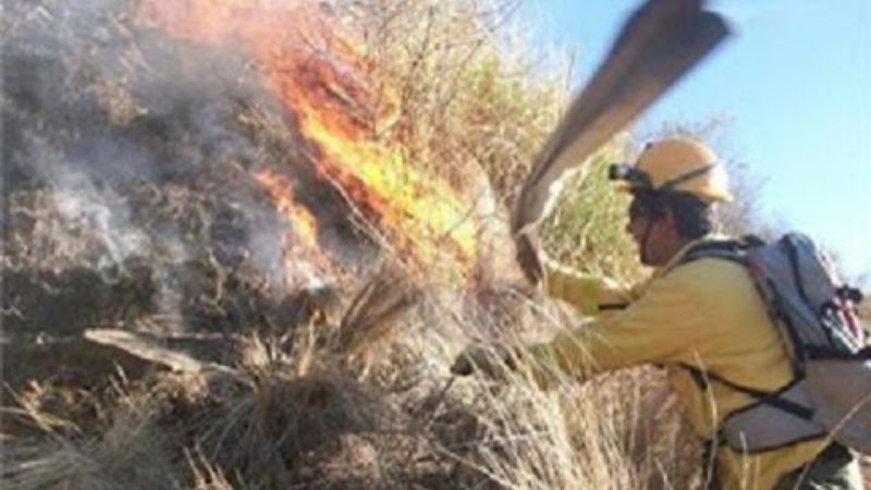 Preocupación por los incendios forestales