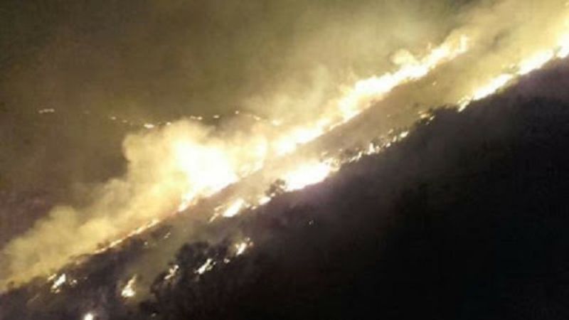 Preocupación por los incendios forestales