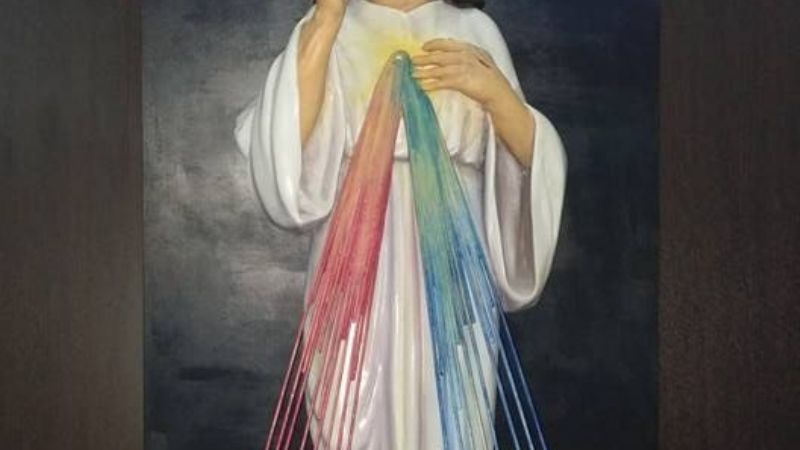 Cierre del Año Santo de la Misericordia en Catamarca