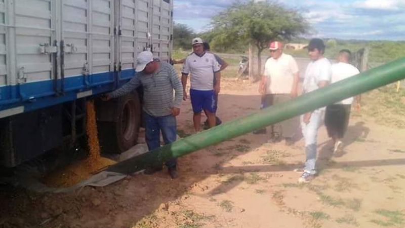 Productores porcinos recibieron carga de maíz