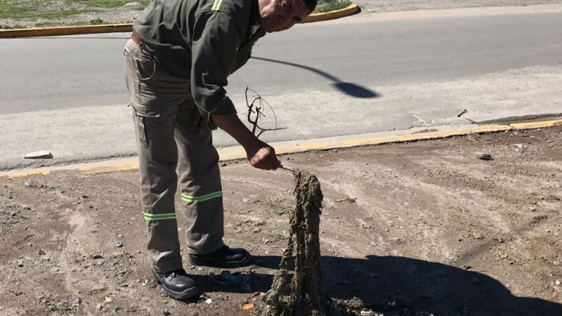 Trabajos de limpieza de cloacas en la capital