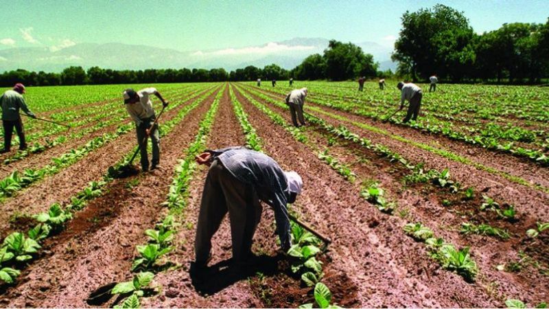 Las economías regionales luchan por mantenerse