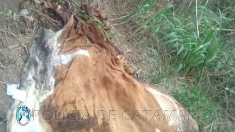 Tras un ilícito, secuestran un auto en Fray Mamerto Esquiú