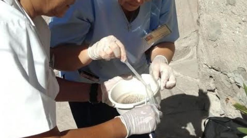 “Mosquito Cero” llega hoy y el viernes a Santa Marta y 20 de Marzo