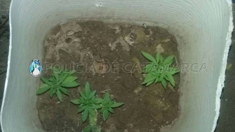 Golpe a la droga en Icaño y Recreo