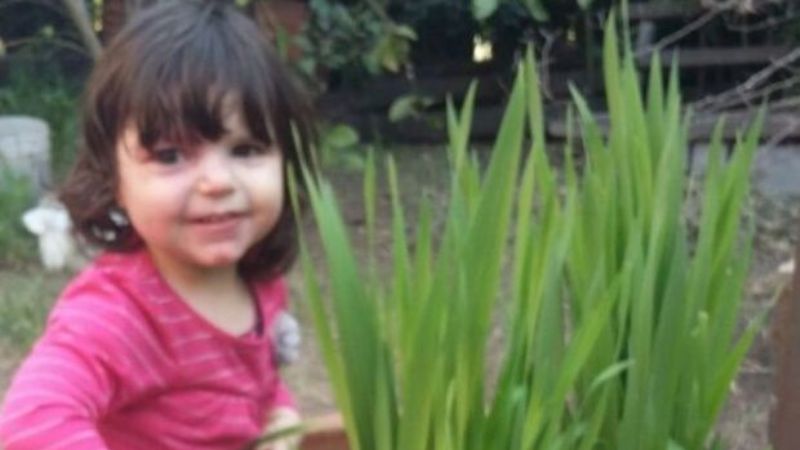 Una prepaga cubrirá aceite de cannabis a una nena de 2 años