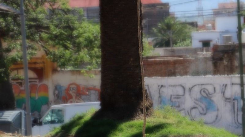 La Alameda será un nuevo pulmón urbano