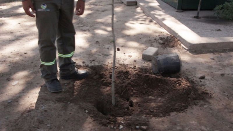 La Alameda será un nuevo pulmón urbano