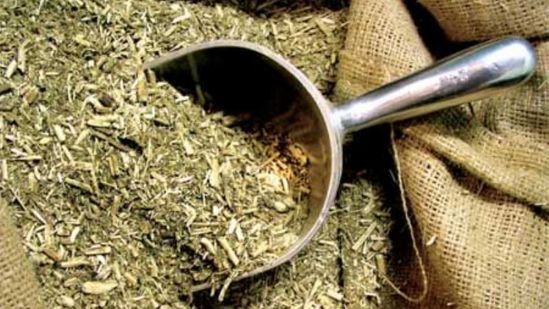 La yerba mate está entre las economías regionales con mayor caída de exportaciones