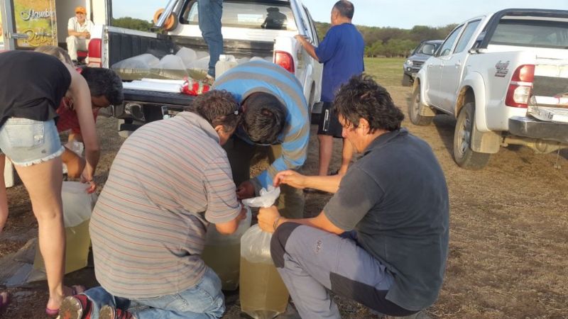 Última resiembra de alevines en los embalses de la provincia