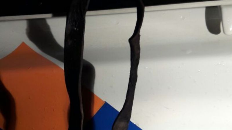 Vándalos dejaron sin energía a Recreo