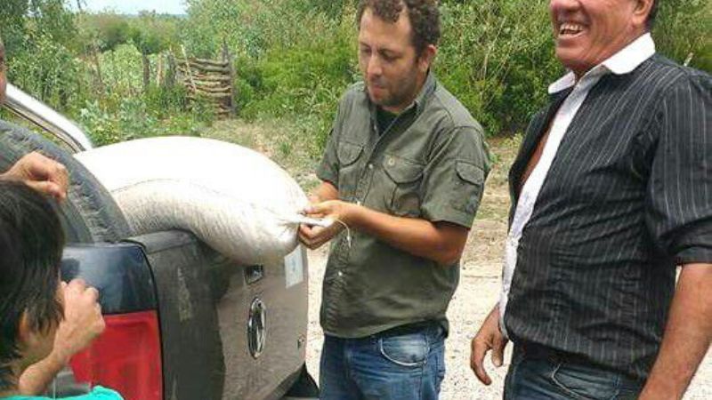 Semillas y maquinaria para siembra en Recreo