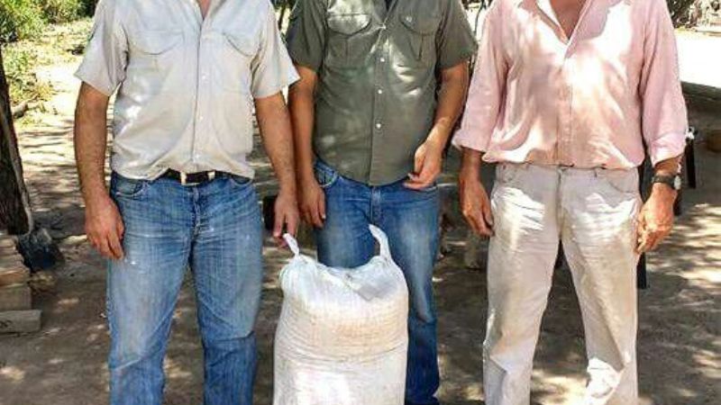 Semillas y maquinaria para siembra en Recreo