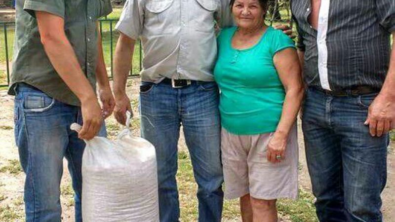 Semillas y maquinaria para siembra en Recreo