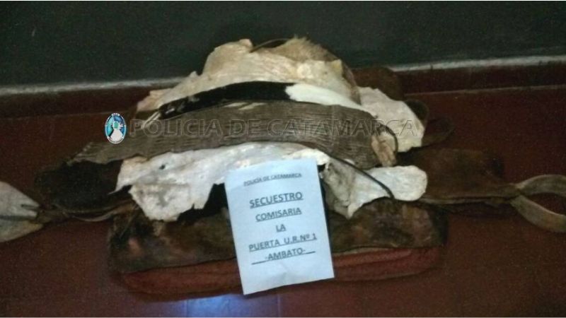 Recuperan elementos Ambato