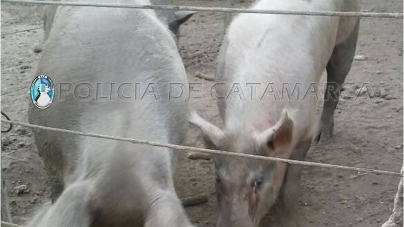 Aprehenden a un joven en El Alto