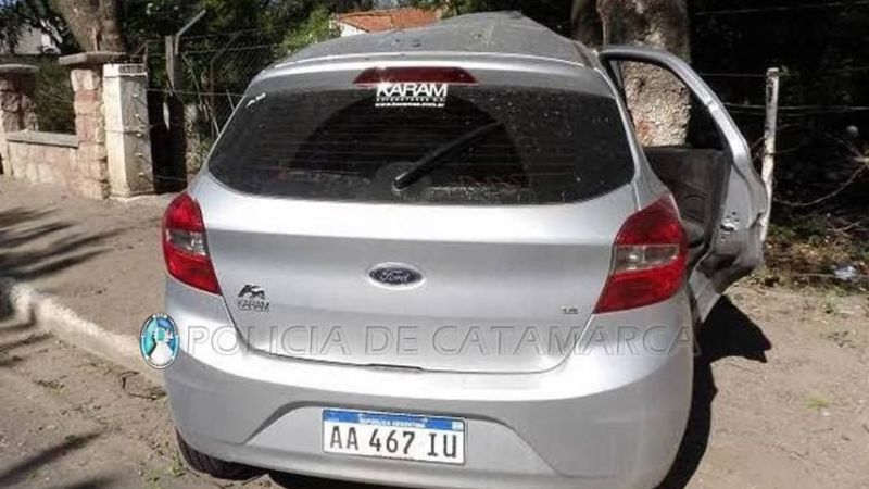 Chocó contra un árbol