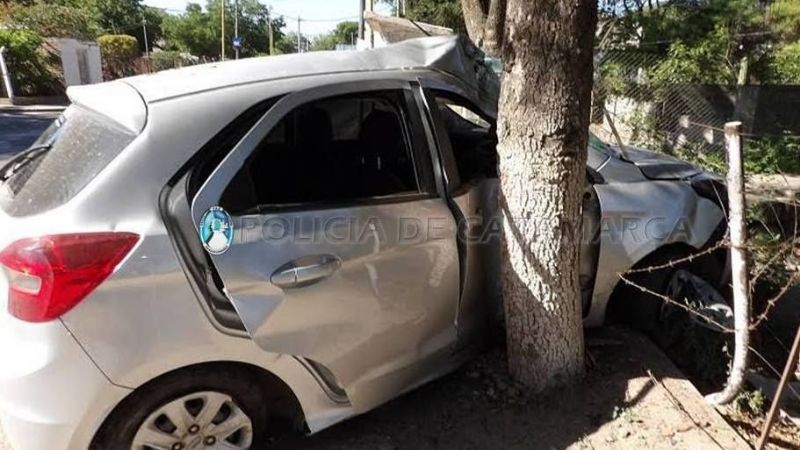 Chocó contra un árbol