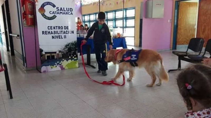 Primera experiencia en Catamarca de Terapia Asistida con animales