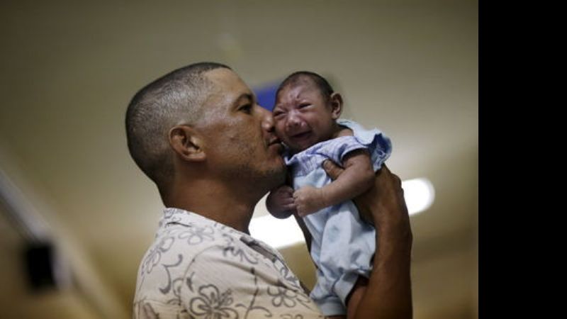 La OMS declaró la emergencia sanitaria mundial por virus de Zika